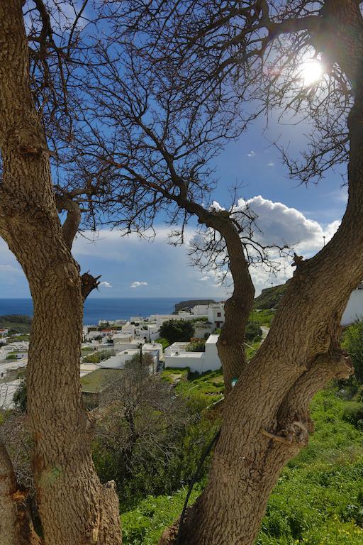 Little Lindos Sea View Studios Exterior foto